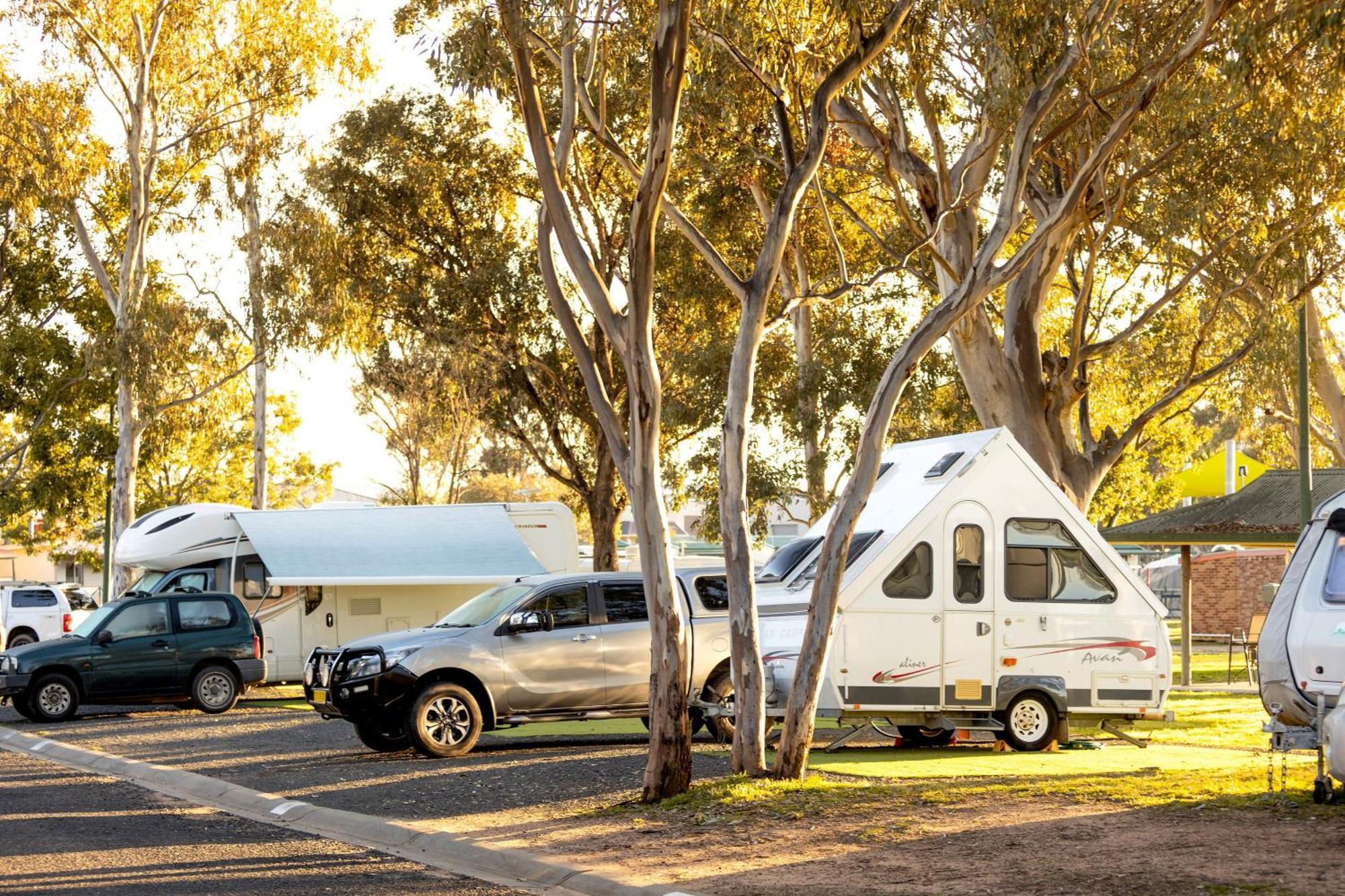 Big4 Mudgee Holiday Park מראה חיצוני תמונה